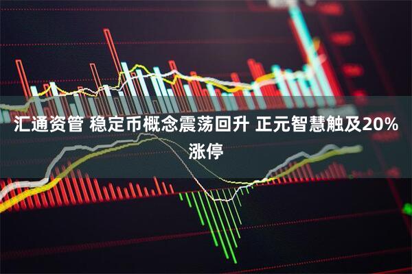 汇通资管 稳定币概念震荡回升 正元智慧触及20%涨停